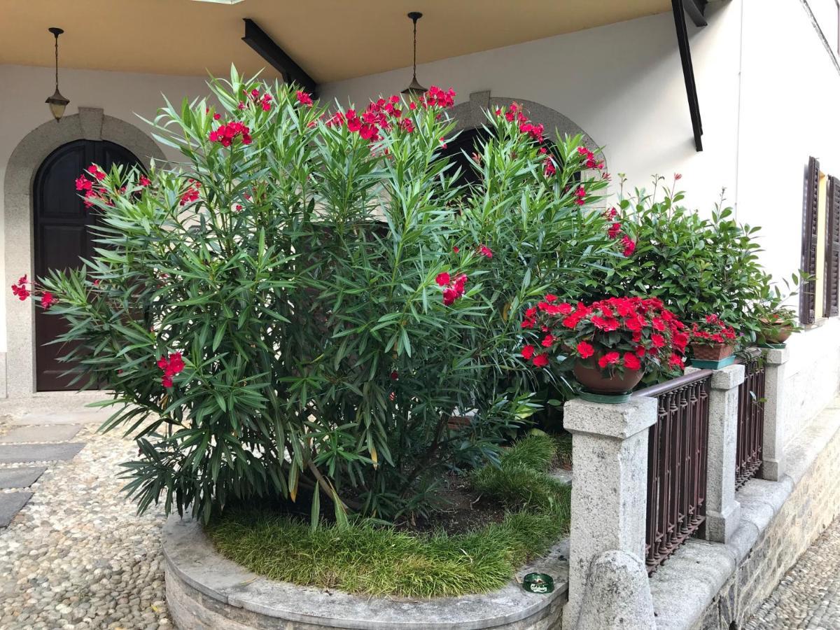 Villa Ombrosa Nebbiuno Екстериор снимка