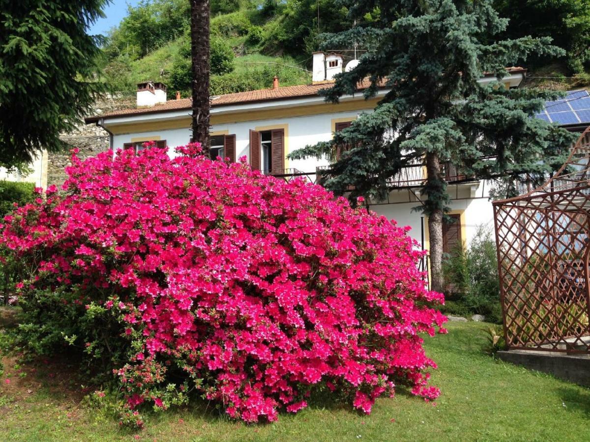 Villa Ombrosa Nebbiuno Екстериор снимка